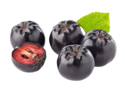 Sušené plody aronia 100g - Rakousko